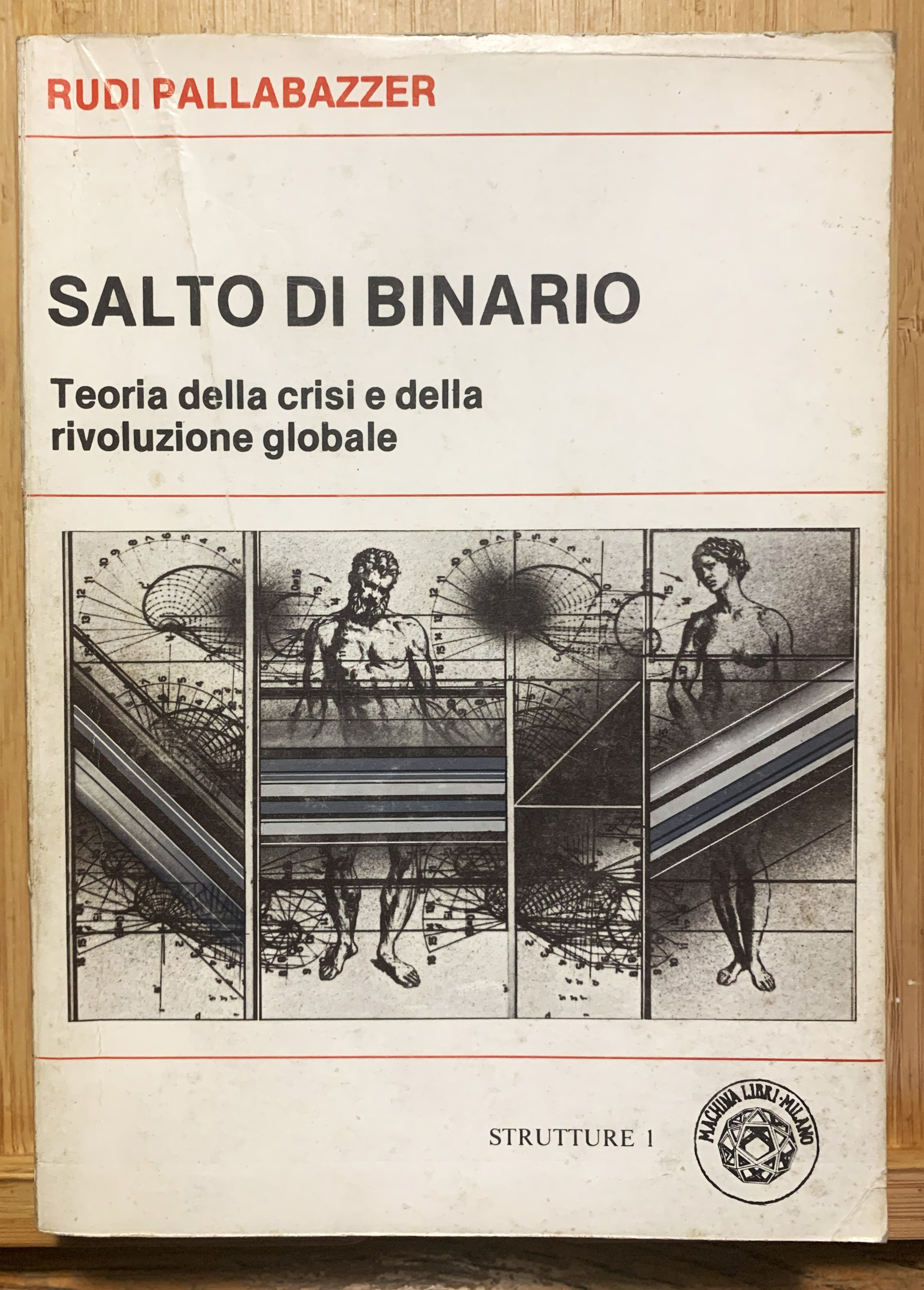 Salto di binario. Teoria della crisi e della rivoluzione globale