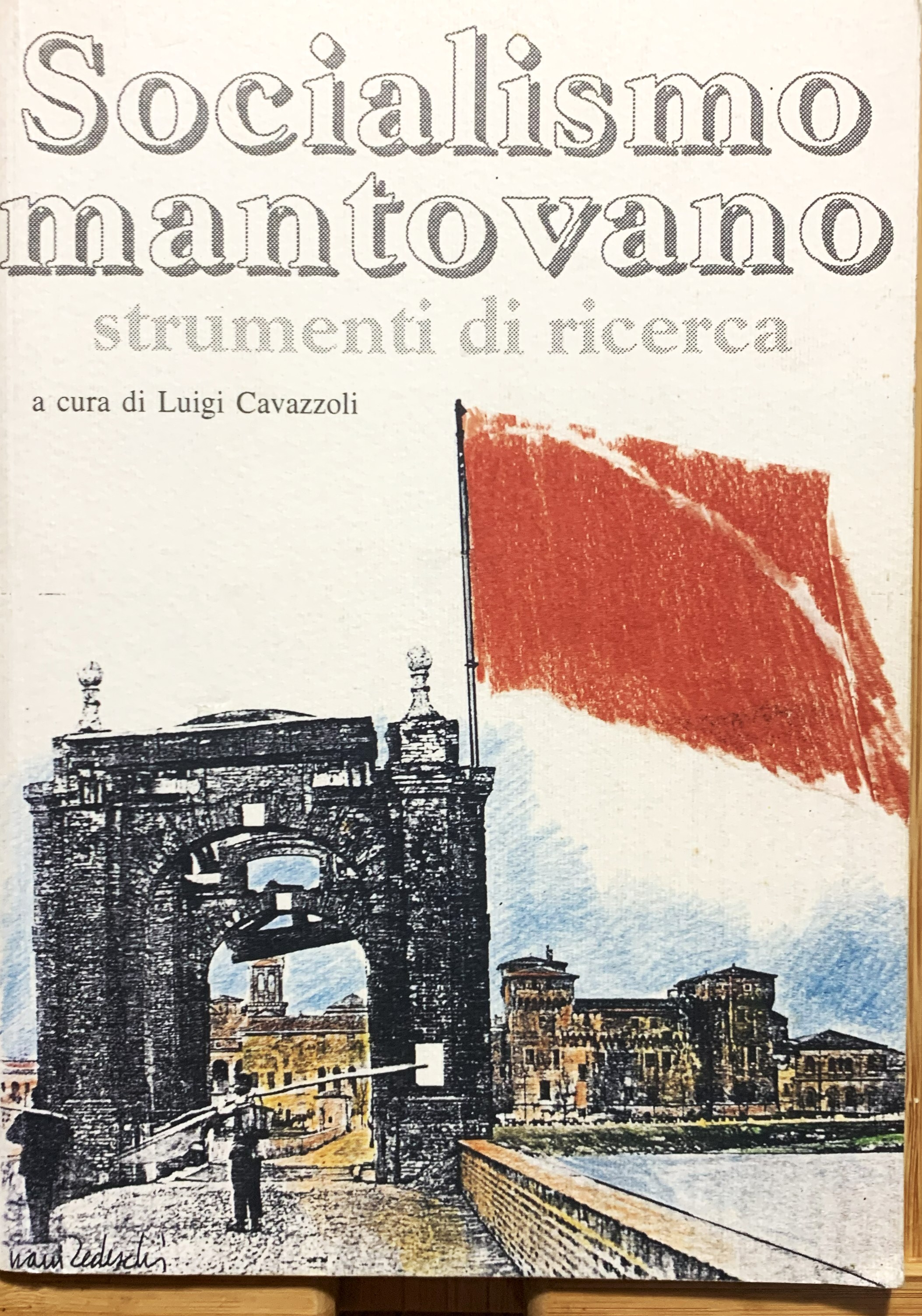 Socialismo mantovano. Strumenti di ricerca