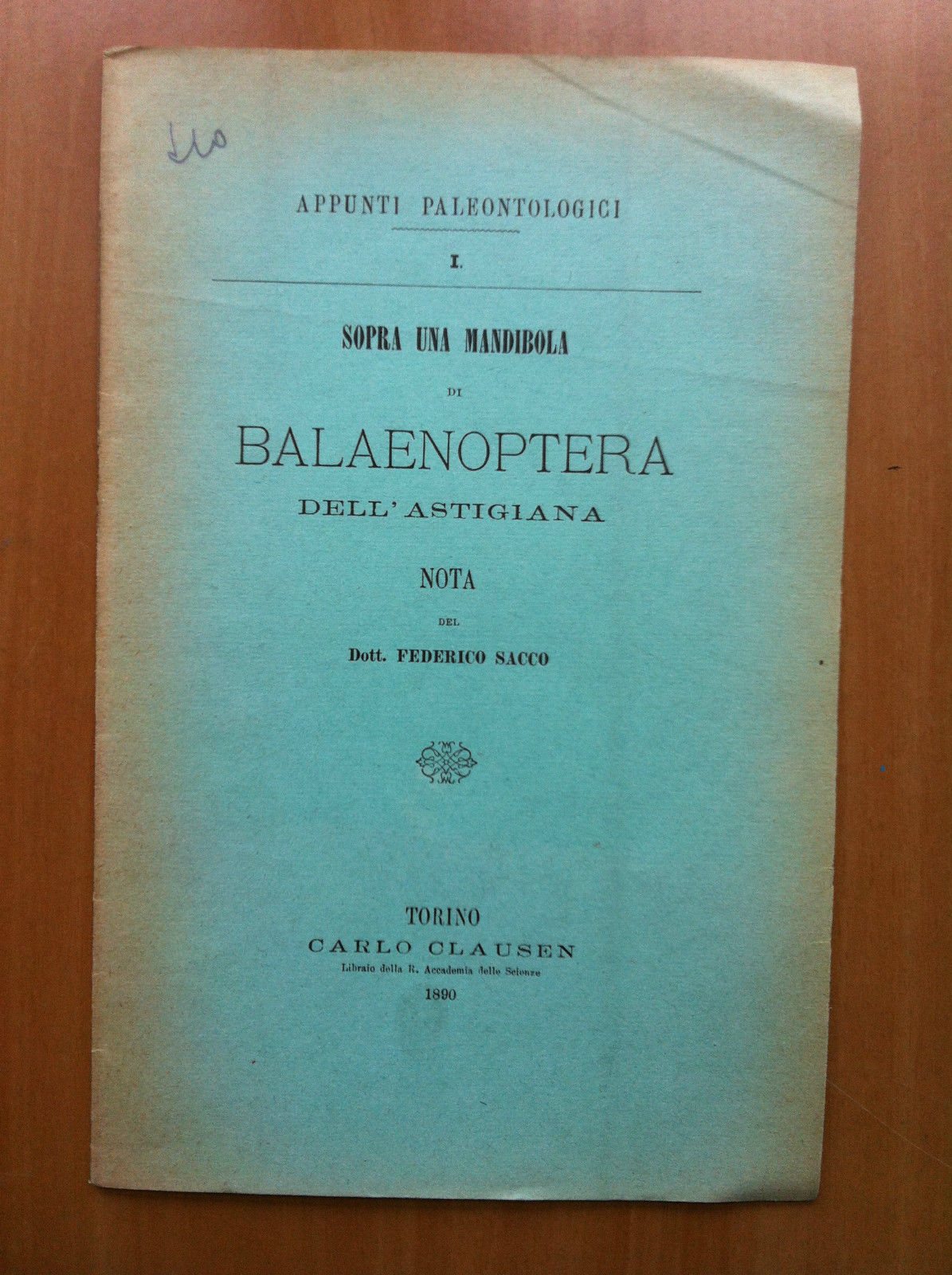 Sopra una mandibila di Balaenoptera dell'astigiana Dr. F. Sacco 1890 …