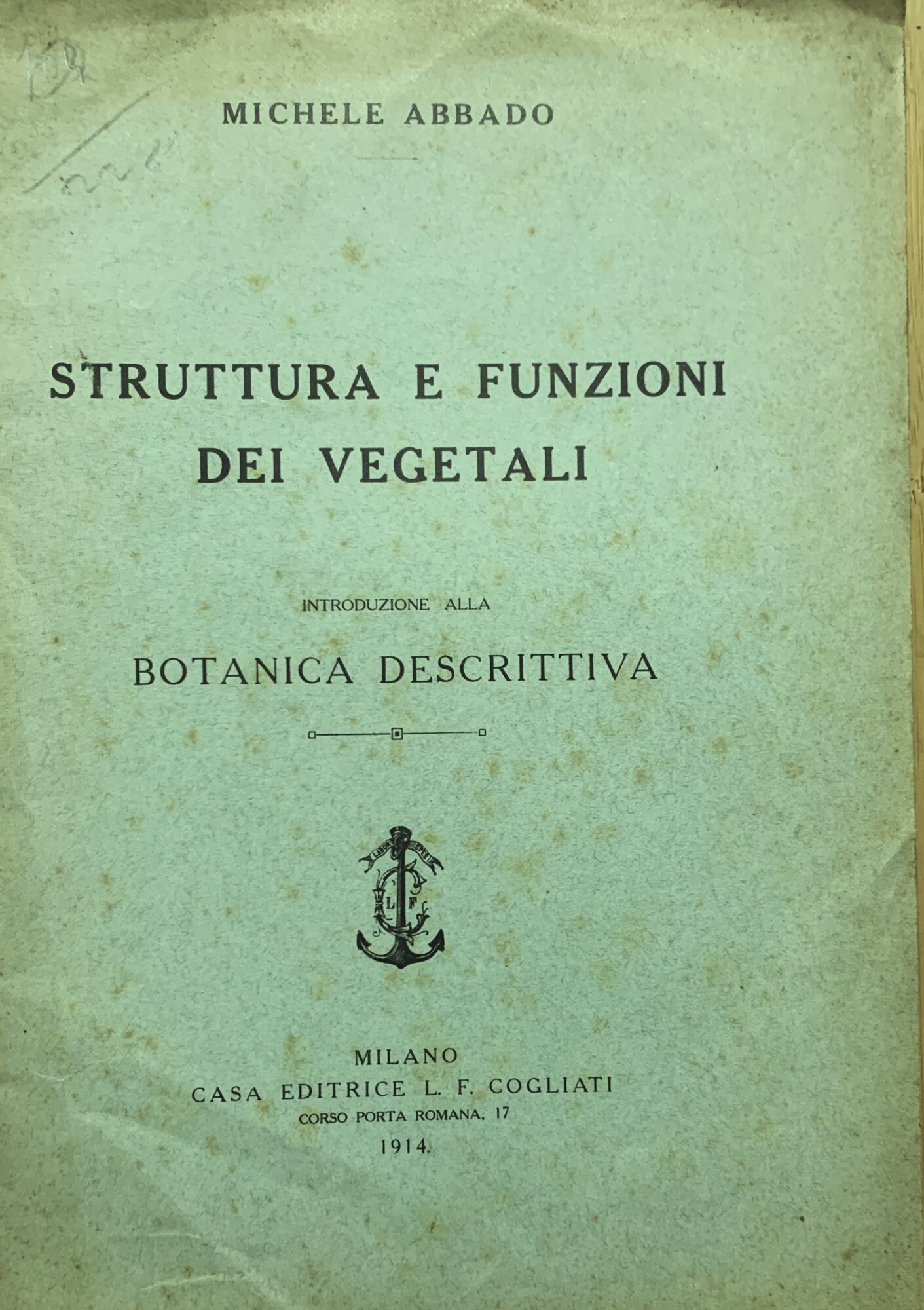 Struttura e funzione dei vegetali. introduzione alla botanica descrittiva