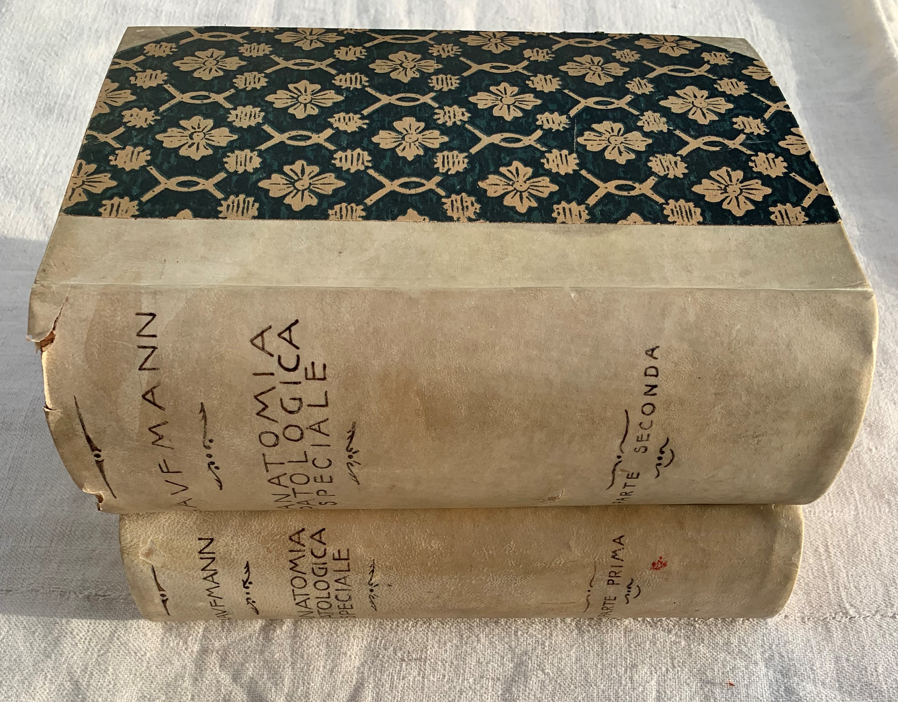 Trattato di Anatomia Patologica Speciale. Parte Prima (Apparato circolatorio - …