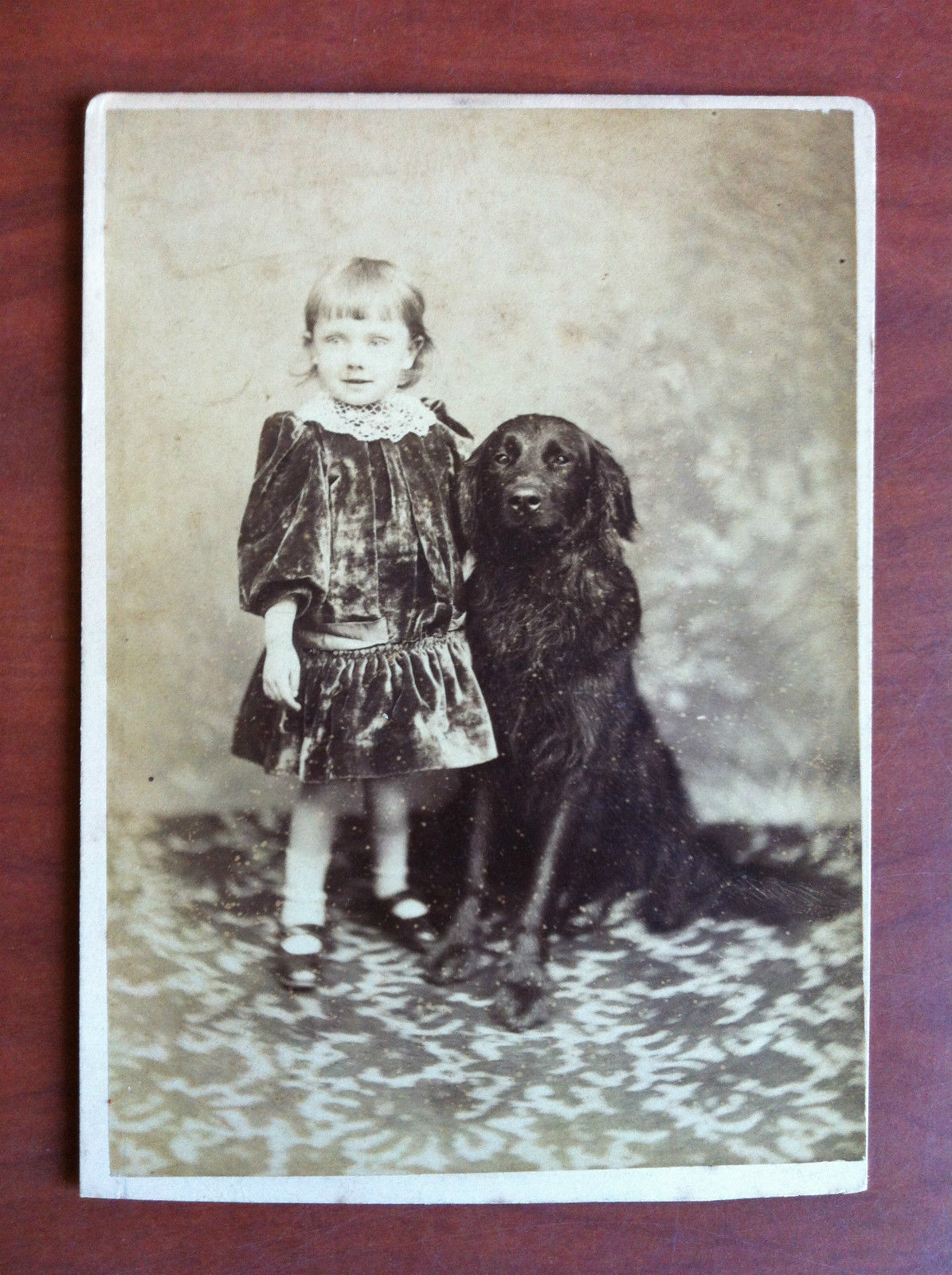 Vera Fotografia fine '800 Bimba con il cane T. Blacklock …