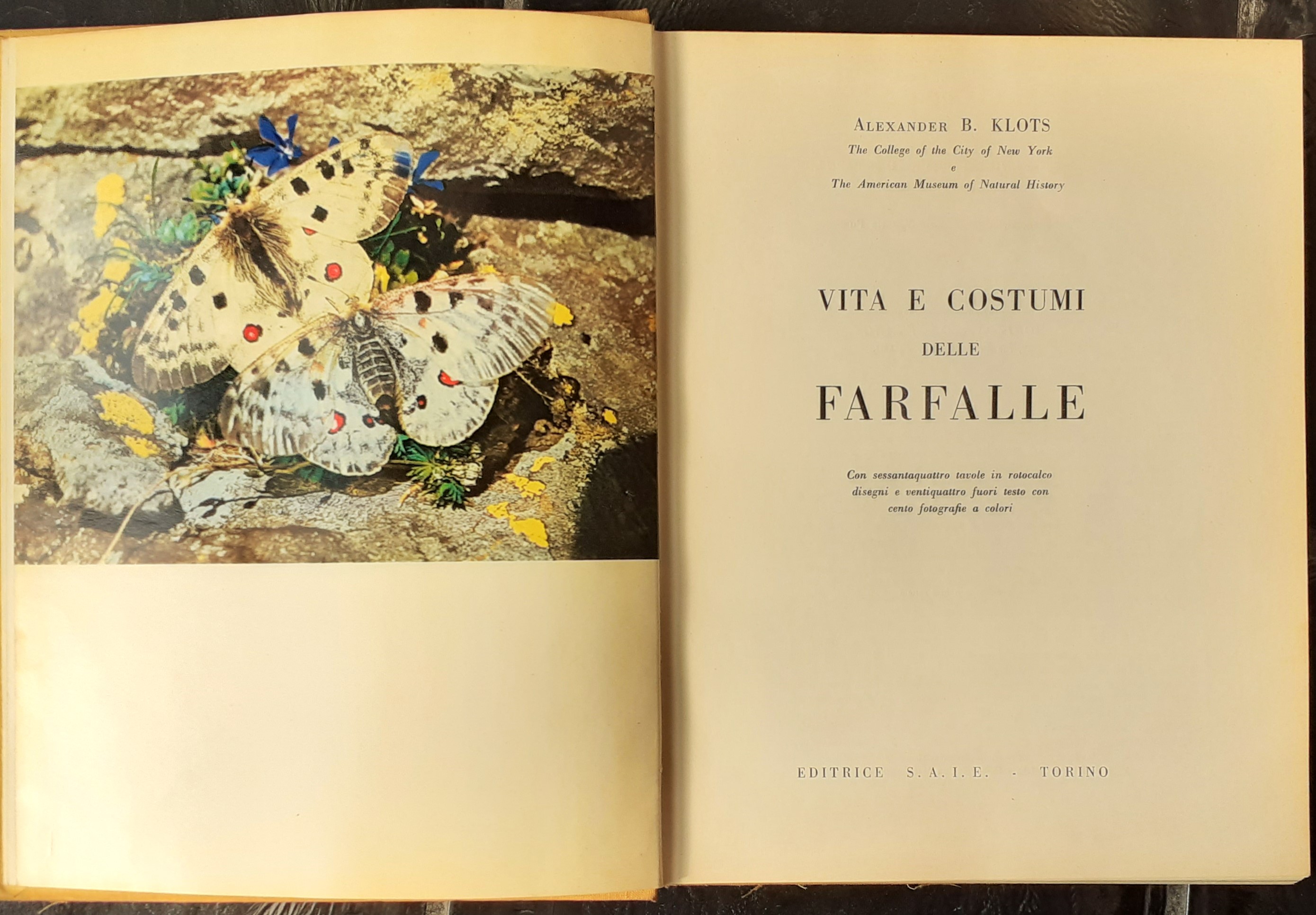 Vita e costumi delle farfalle+