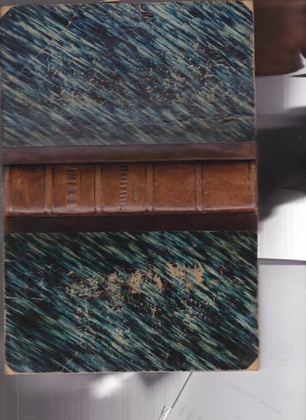 Luisa Strozzi. Storia del Secolo XVI