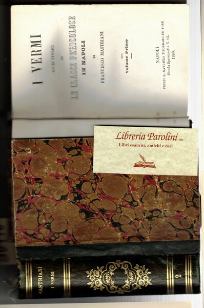 I Vermi. Studi storici su le Classi pericolose in Napoli