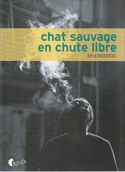 Chat sauvage en chute libre,