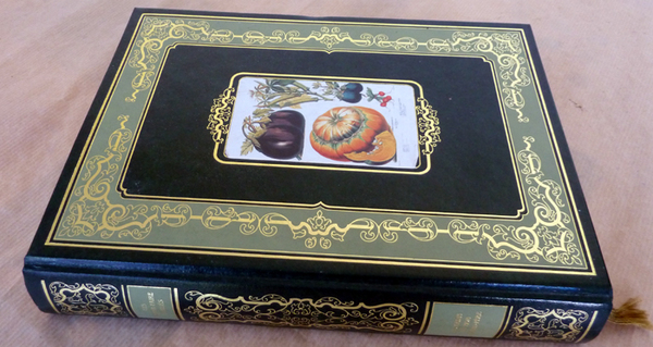 Le Jardin de mon Grand-Père.