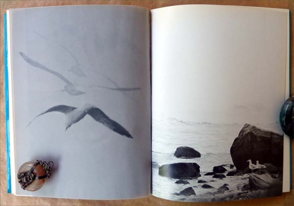 Jonathan Livingston Le Goëland. Photographies de Russel Munson.