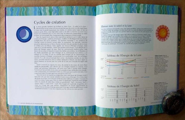 Guide Pratique du Chamanisme. Accédez au pouvoir magique de la …