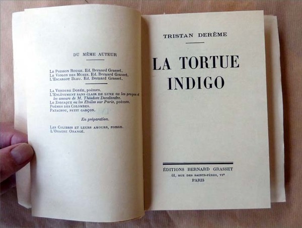 La Tortue Indigo.