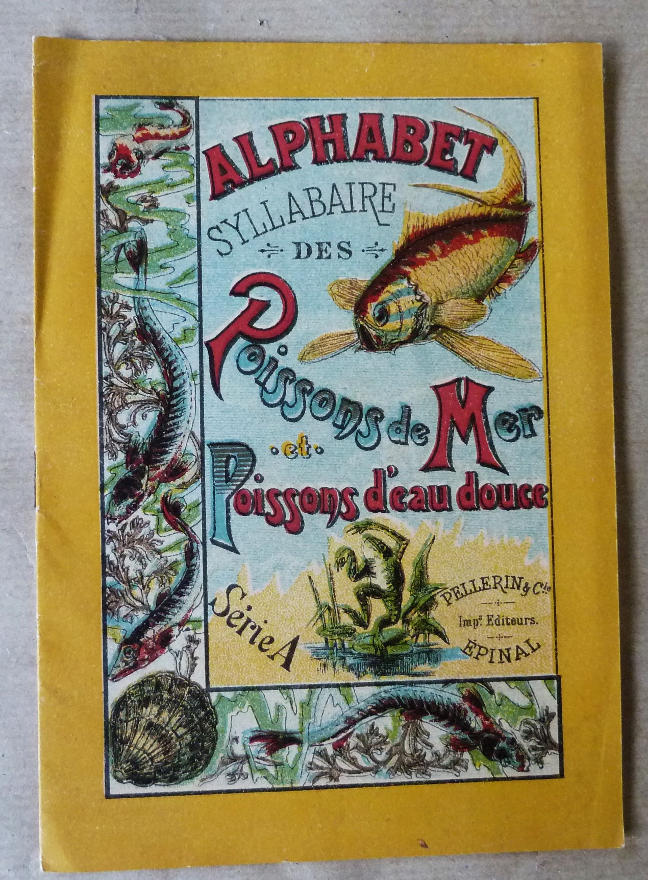 Alphabet Syllabaire des Poissons de Mer et Poissons d'Eau Douce. …