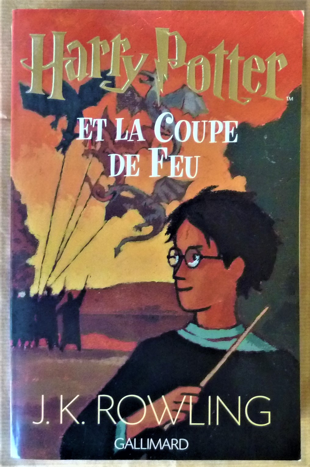 Harry Potter et La Coupe de Feu.