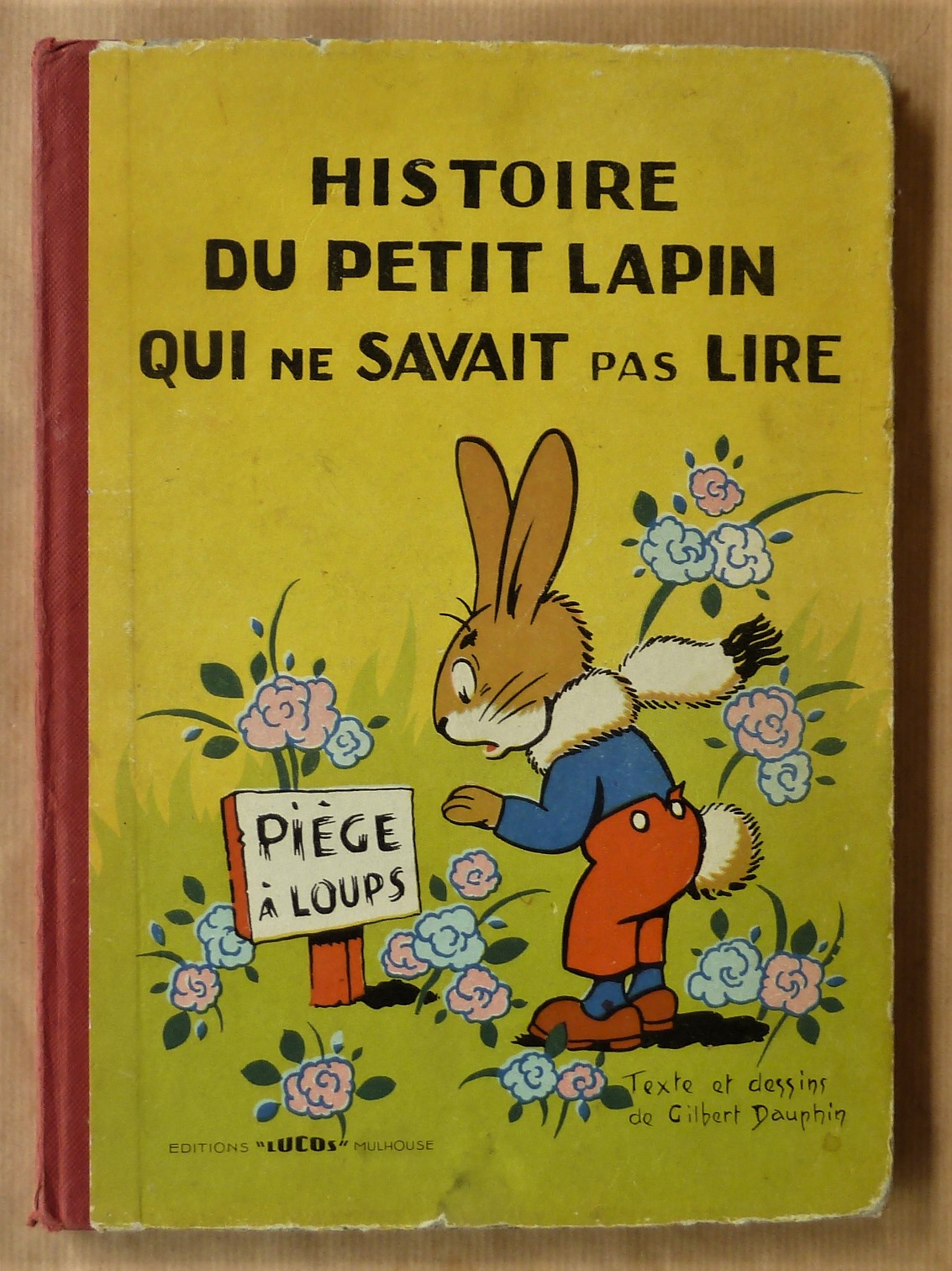 Histoire du Petit Lapin qui ne savait pas lire.