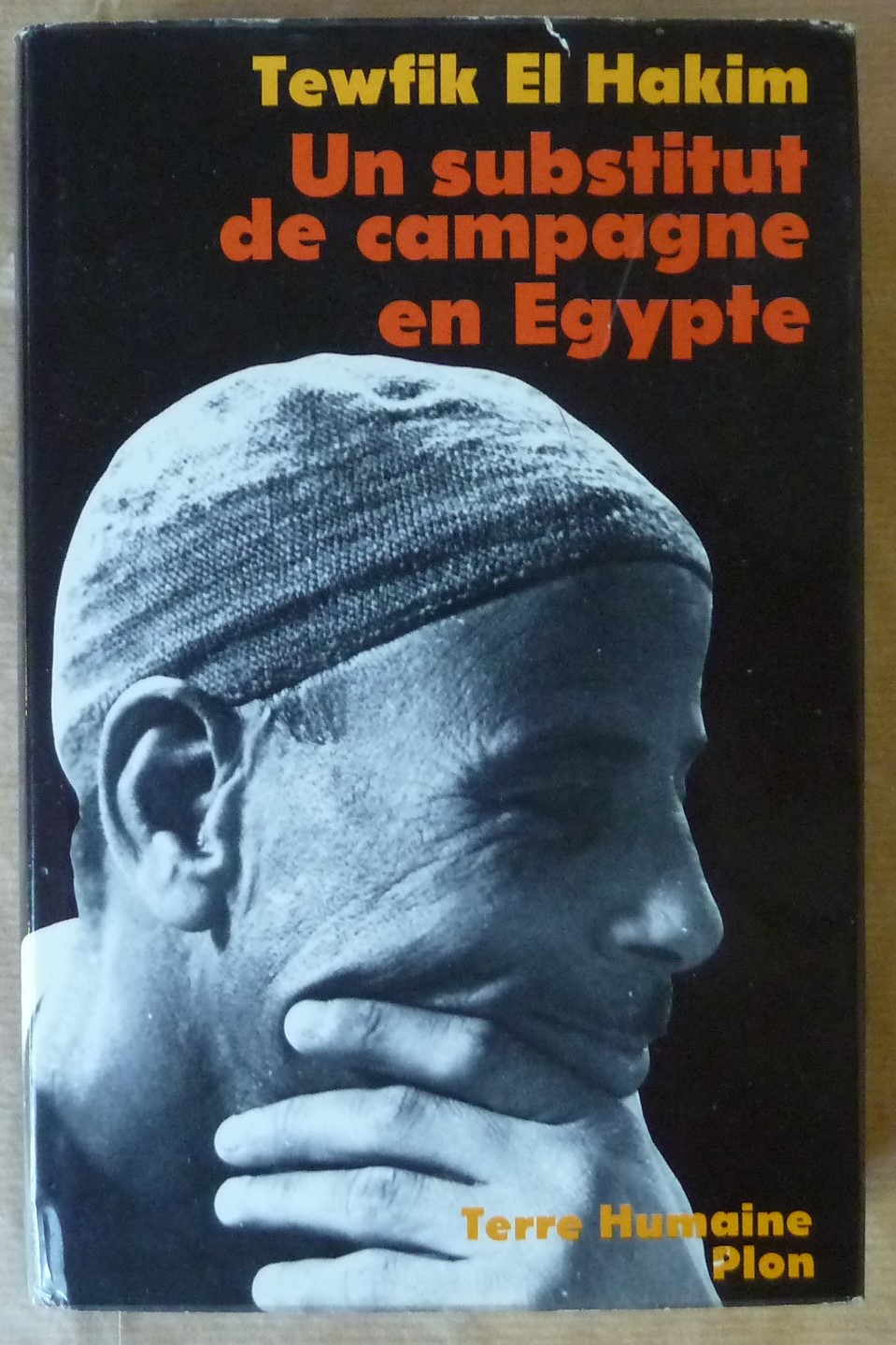 Un substitut de Campagne en Egypte.