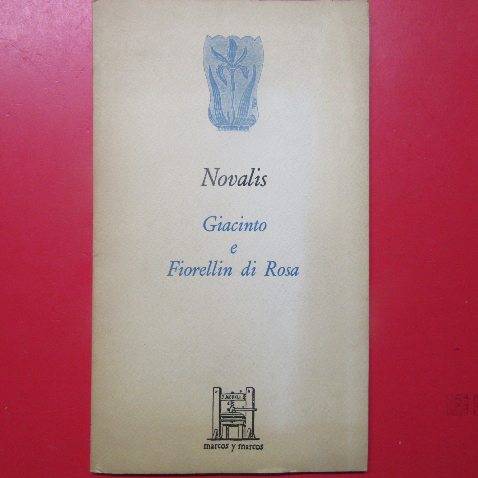 Giacinto e fiorellin di rosa