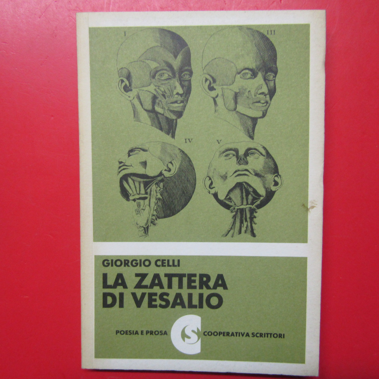 La zattera di Velasio