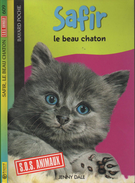 Safir, le beau chaton
