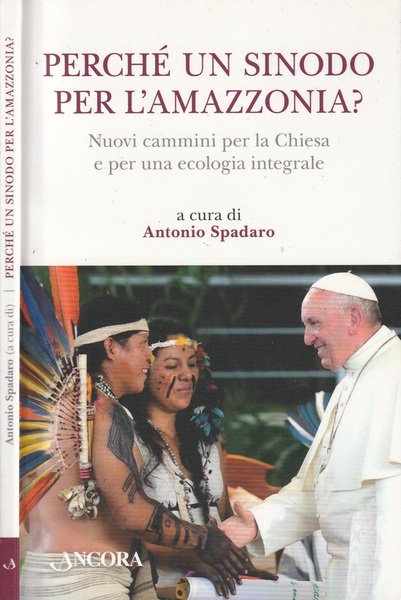 Perché un sinodo per l'Amazzonia? Nuovi cammini per la Chiesa …