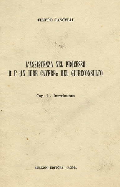 L'ASSISTENZA NEL PROCESSO O L'IN IURE CAVERE DEL GIURECONSULTO