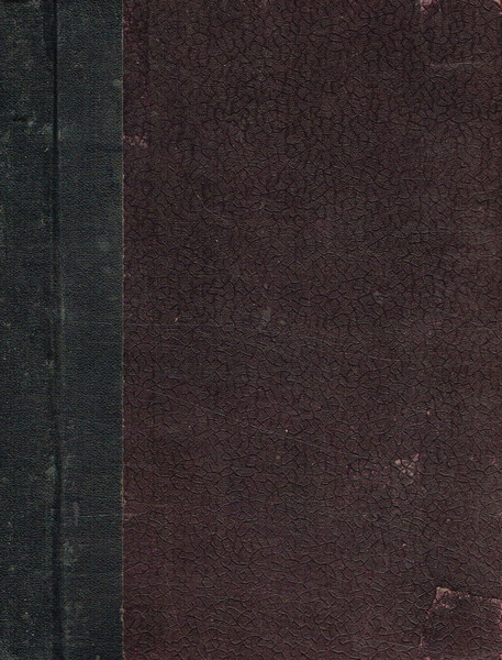 La giovinezza di D.Bosco. Libro per i ragazzi