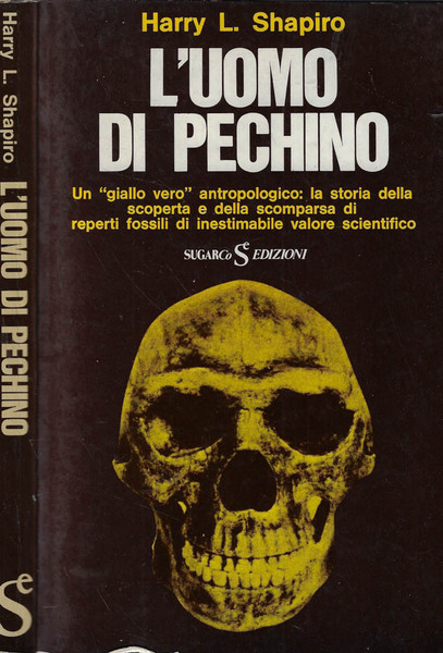 L'uomo di Pechino