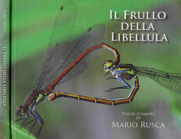 Il frullo della libellula