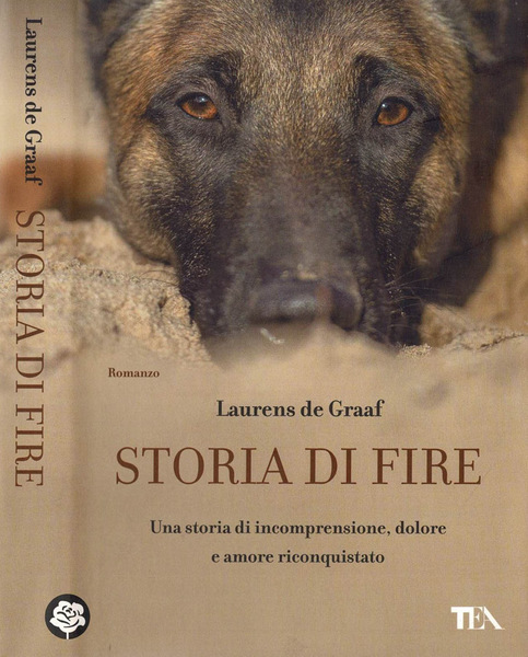 Storia di Fire