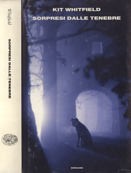 Sorpresi dalle tenebre
