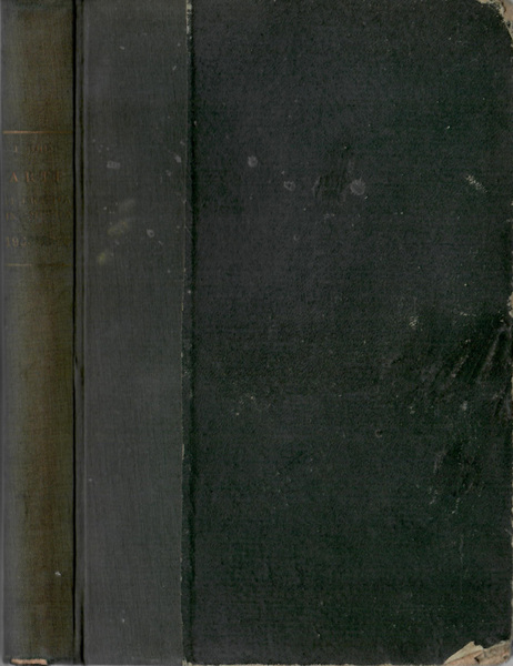 Le Arti Figurative In America