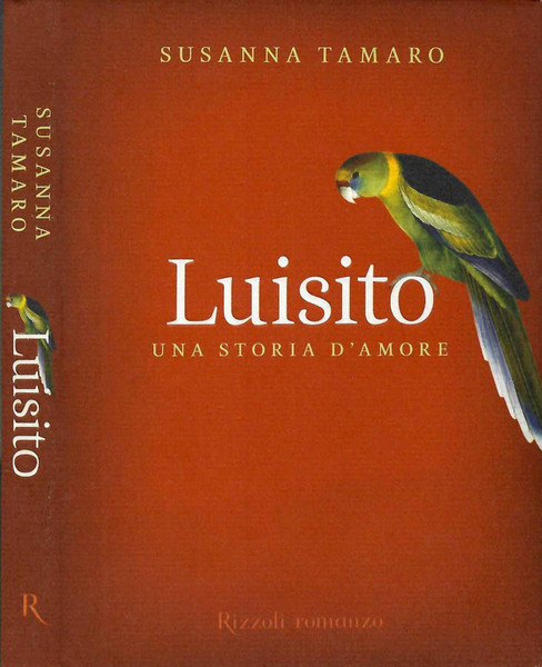 Luisito Una storia d'amore