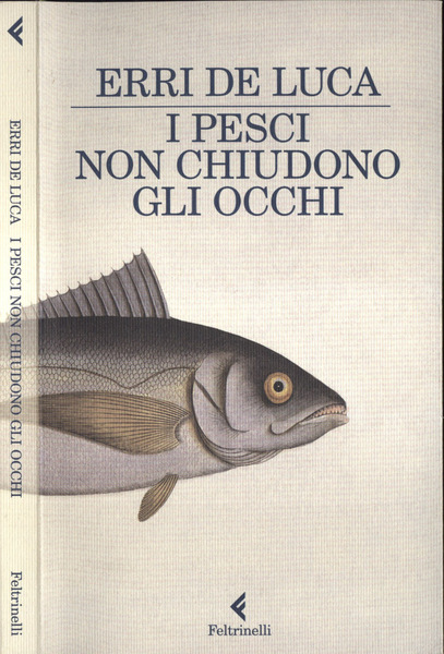 I pesci non chiudono gli occhi