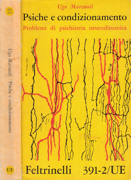 Psiche e condizionamento Problemi di psichiatria neurodinamica