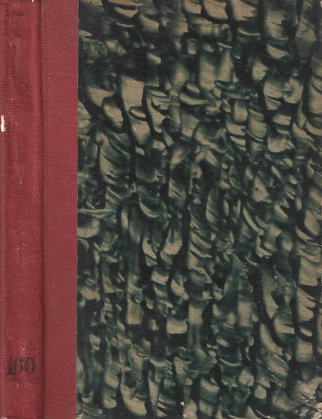 La piccola Pepita The little Nugget