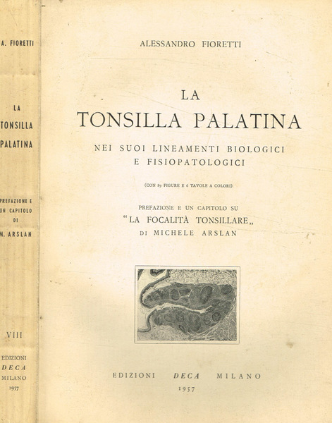La tonsilla palatina nei suoi lineamenti biologici e fisiopatologici