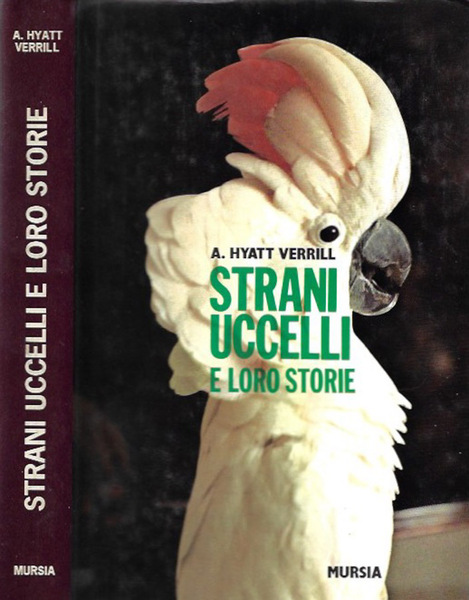 Strani uccelli e loro storie
