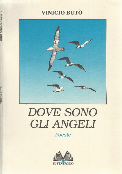 Dove sono gli angeli Poesie