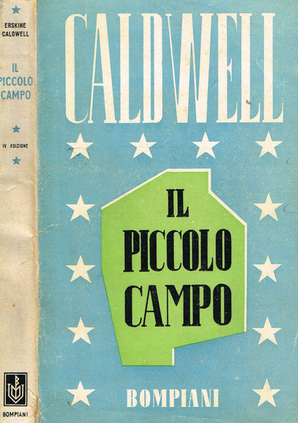 IL PICCOLO CAMPO