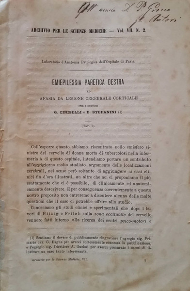 Emiepilessia paretica destra ed afasia da lesione cerebrale corticale