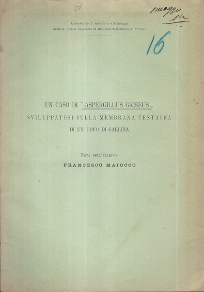 Un caso di "Aspergillus Griseus" sviluppatosi sulla membrana testacea di …