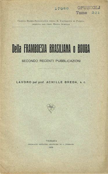 Della Framboesia Brasiliana o Bouba