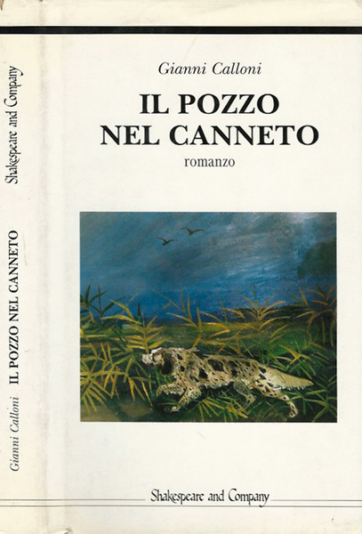 Il pozzo nel canneto