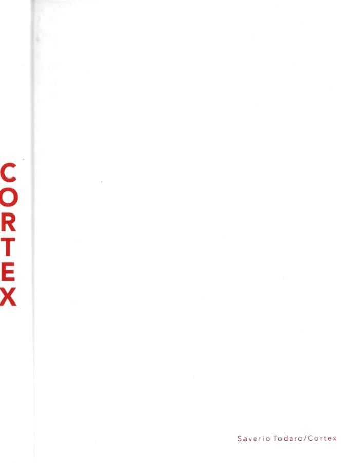 Cortex