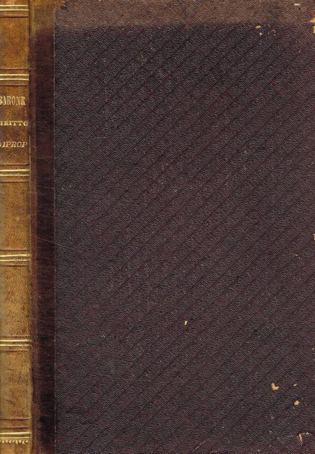 Del diritto di proprietà