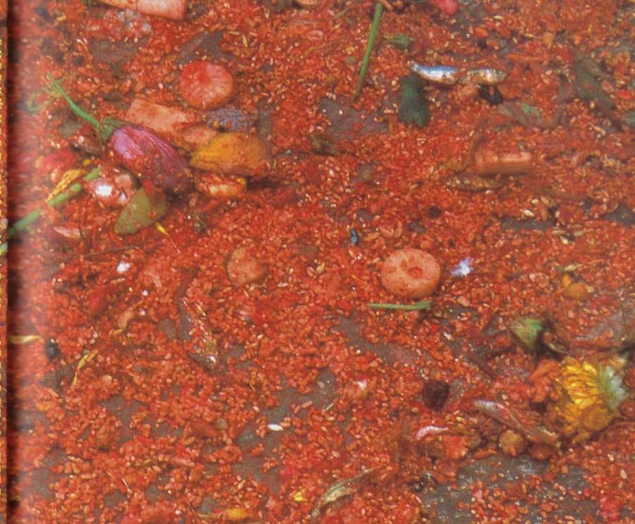 Everywhere Chidambaram