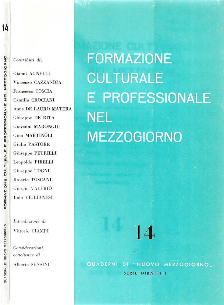 Formazione culturale e professionale nel Mezzogiorno