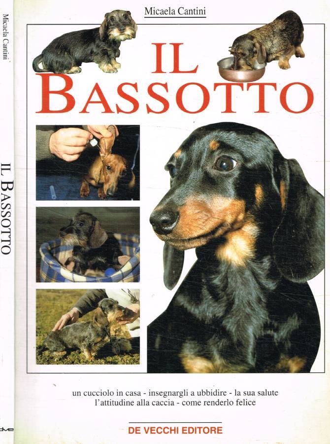 Il bassotto