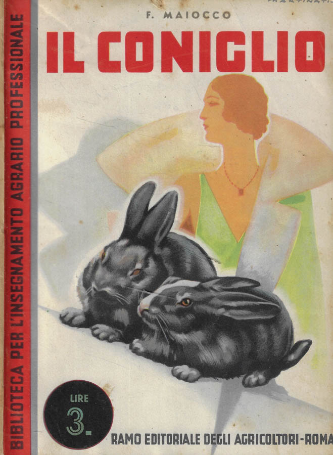 Il coniglio