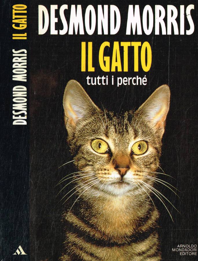 Il gatto: tutti i perché