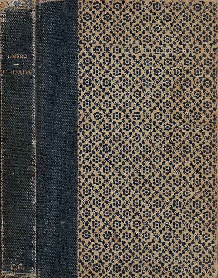 Iliade (Tradotta da V. Monti)