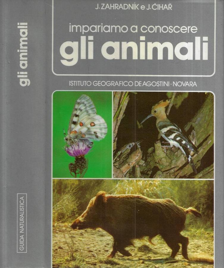 Impariamo a conoscere gli animali